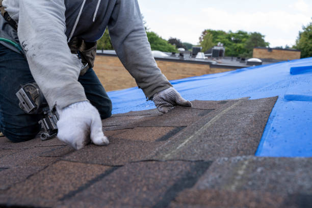 Best Roof Replacement Cost  in Rkesburg, PA