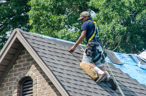 Best Residential Roof Replacement  in Rkesburg, PA